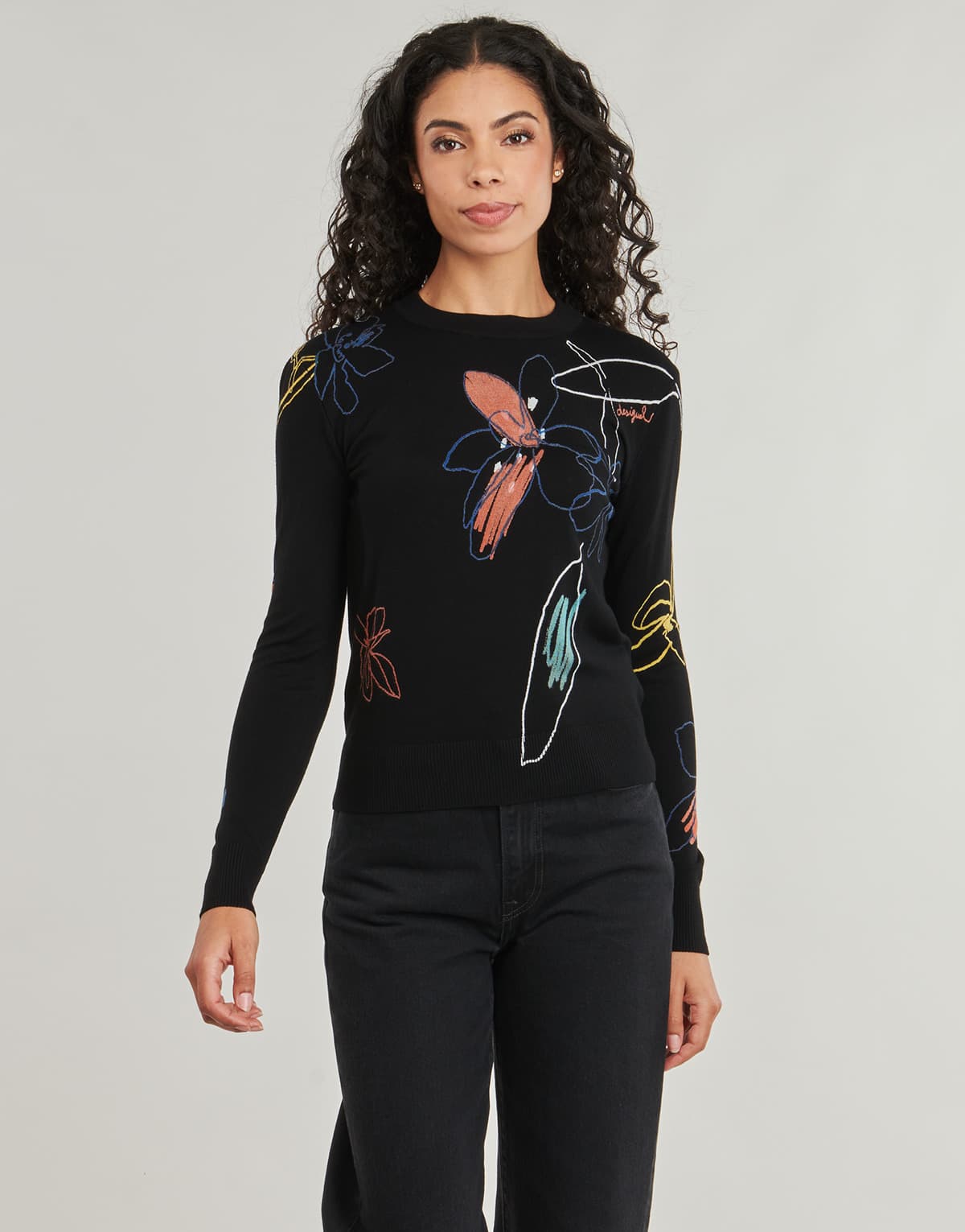 Women's Sweaters Desigual Black