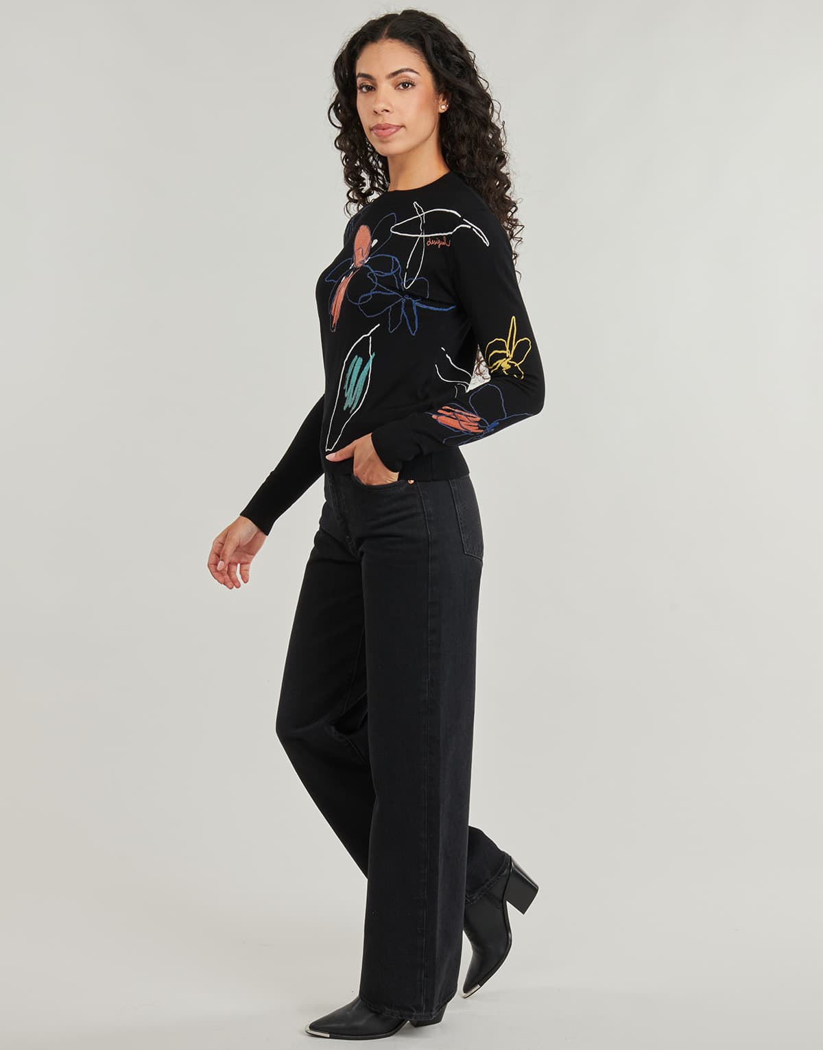Women's Sweaters Desigual Black