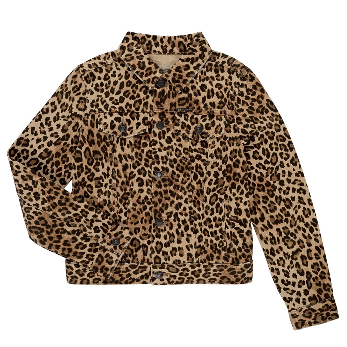 Girls' Jackets Polo Ralph Lauren Multicolor