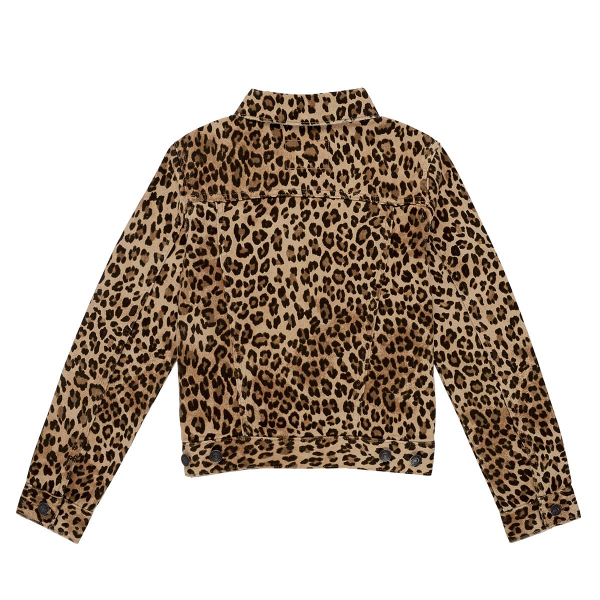 Girls' Jackets Polo Ralph Lauren Multicolor