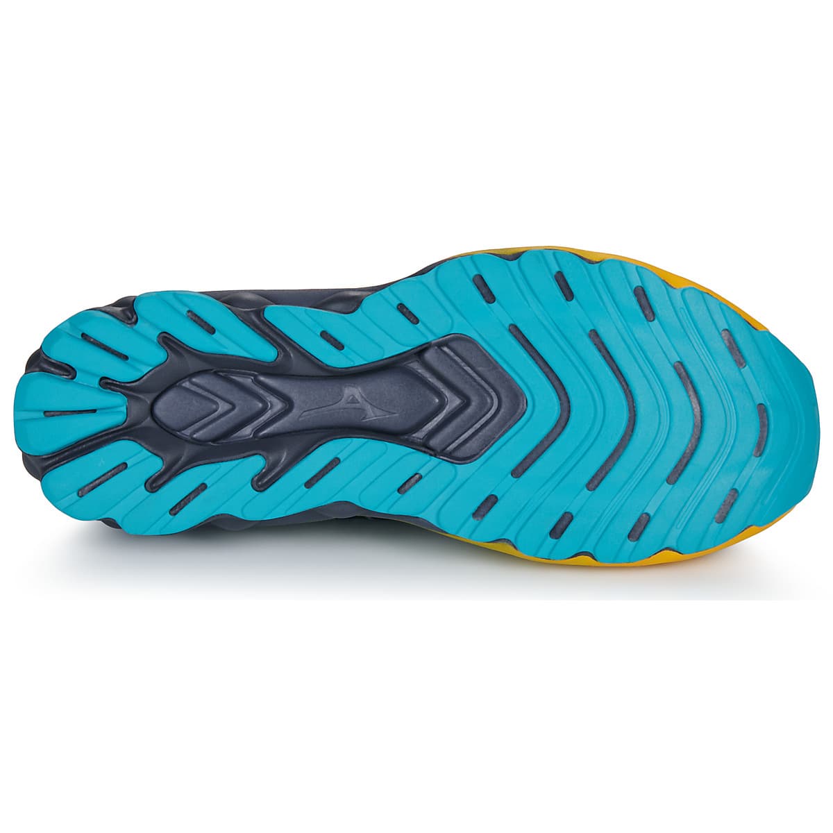 Men's Running Shoes Mizuno Blue