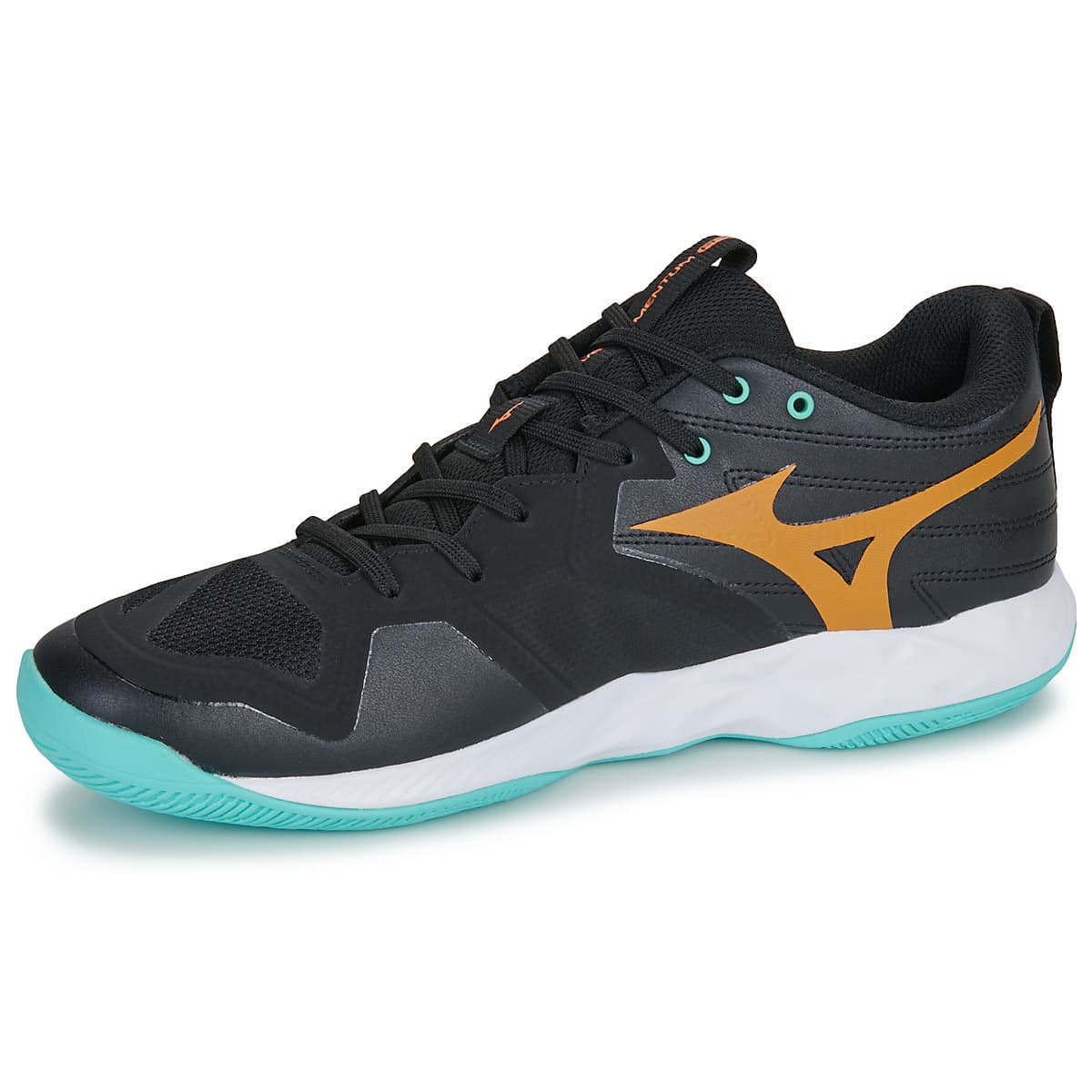 Men's Gym Shoes Mizuno Black