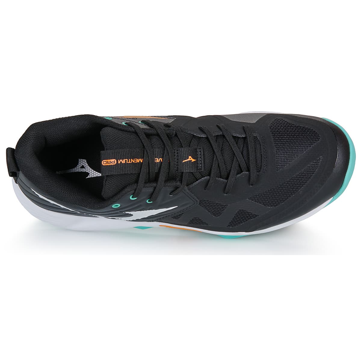 Men's Gym Shoes Mizuno Black