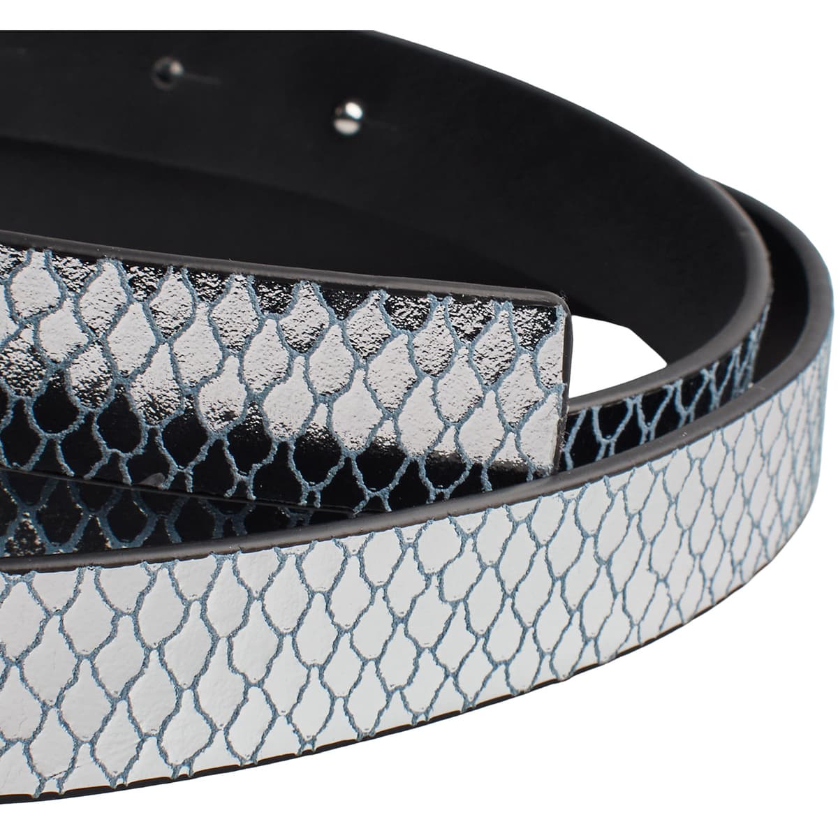 Women's Belts Michael Kors Multicolor