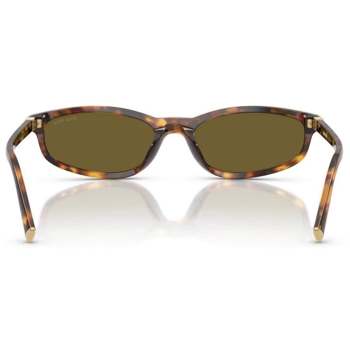 Women's Sunglasses Miu Miu Brown