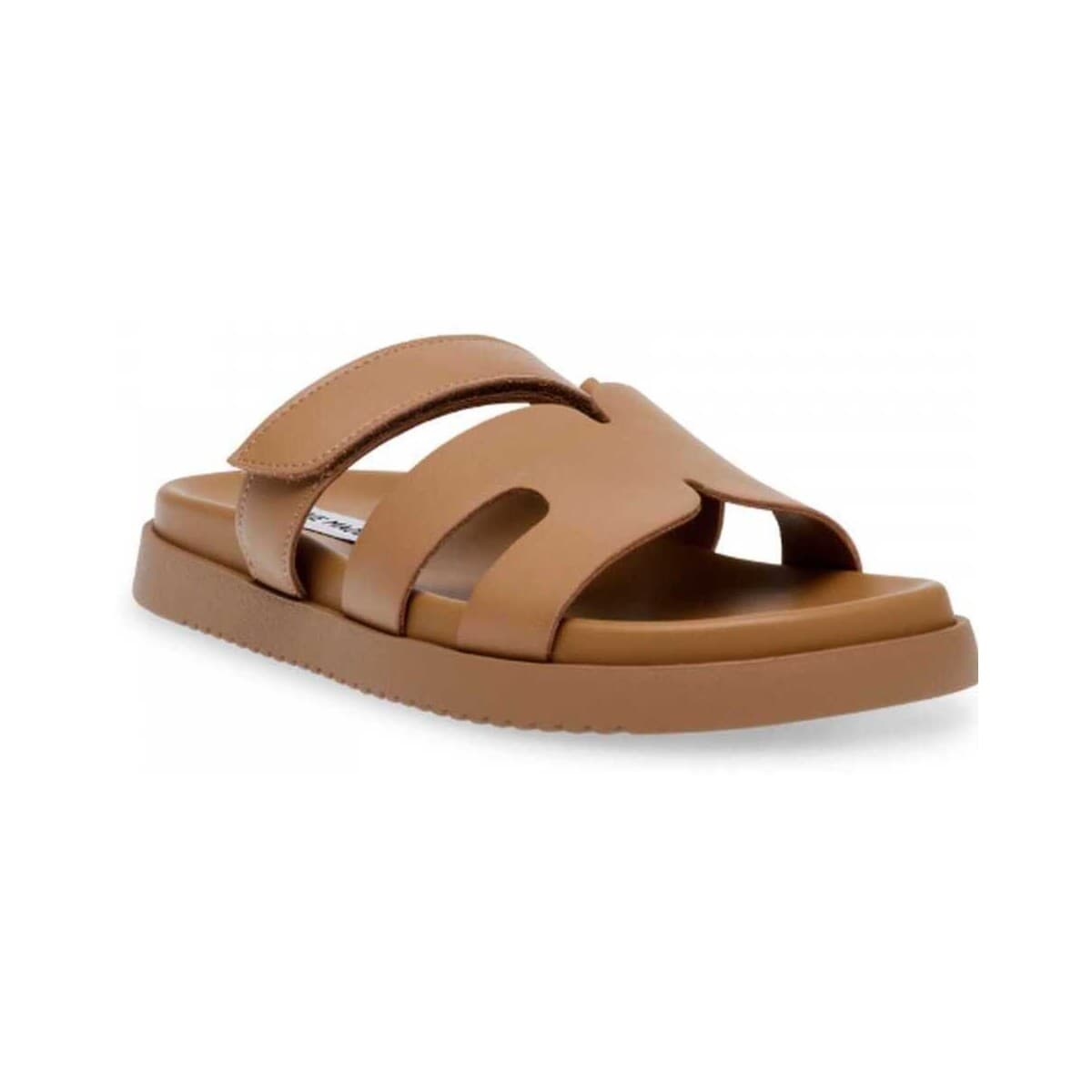 Women's Sandals Steve Madden Brown