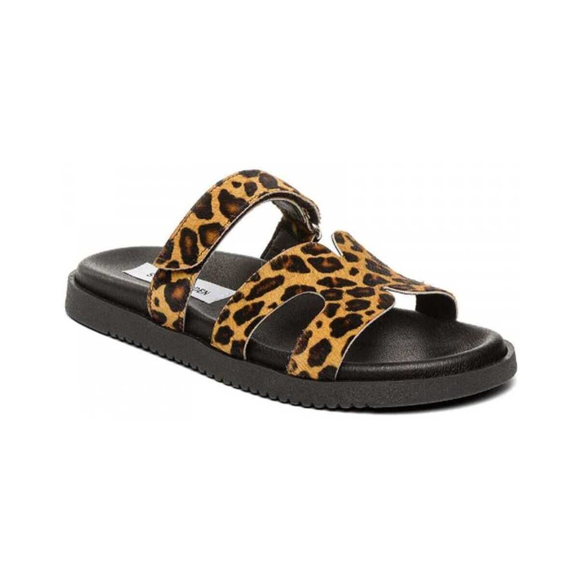 Women's Sandals Steve Madden Multicolor