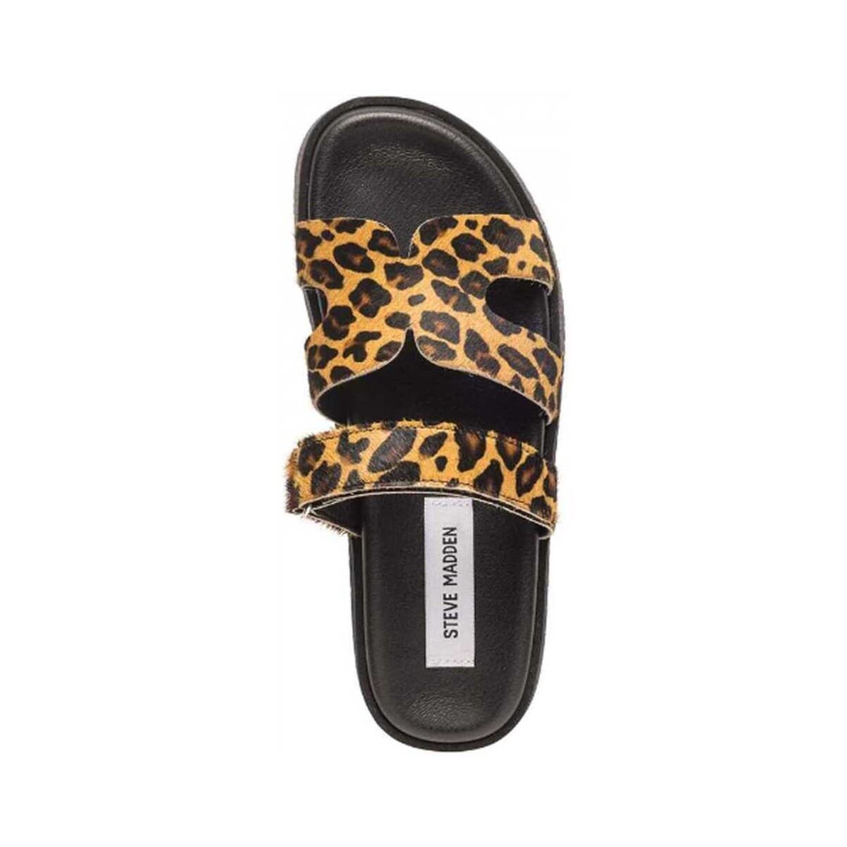 Women's Sandals Steve Madden Multicolor