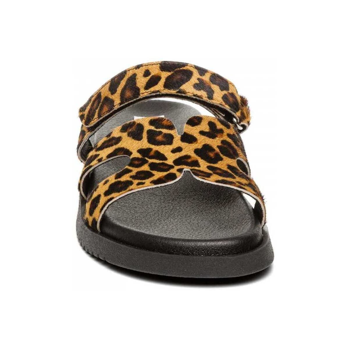 Women's Sandals Steve Madden Multicolor