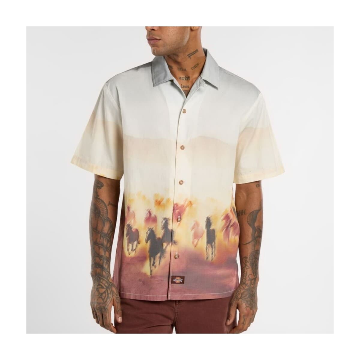 Πουκάμισο με μακριά μανίκια Dickies Camisas Hombre Modèle Running Wild Shirt Ss