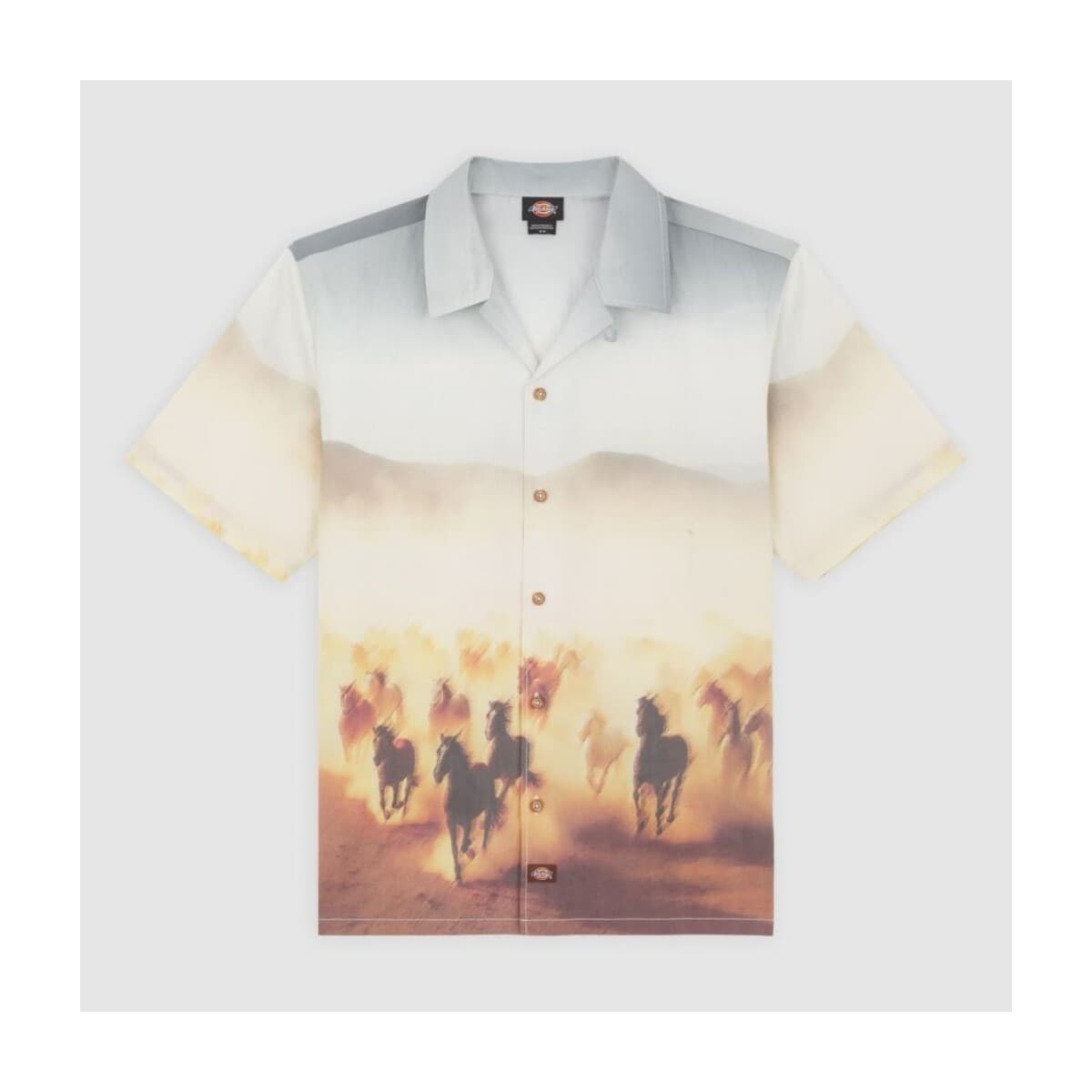 Men's Shirts Dickies Multicolor