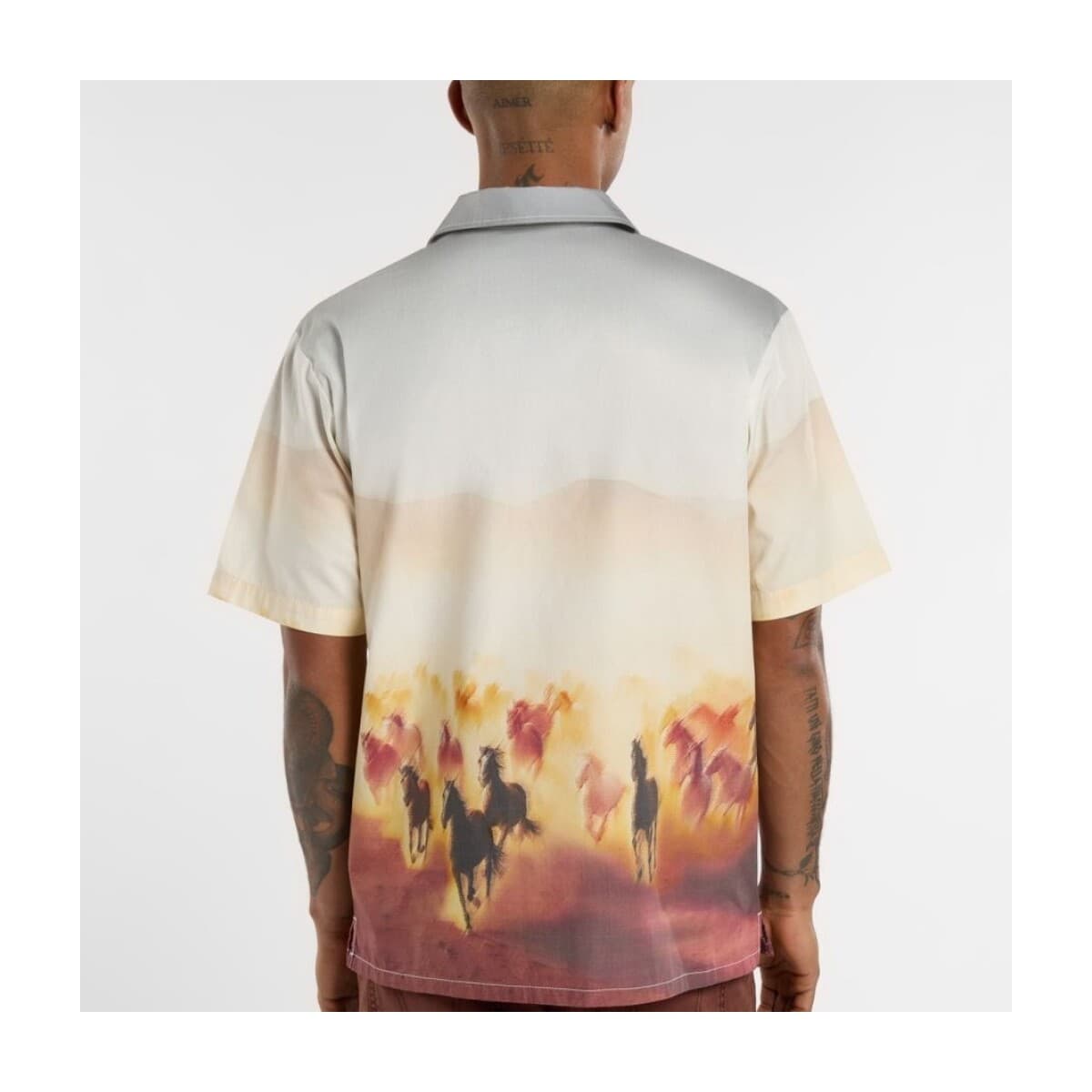 Men's Shirts Dickies Multicolor