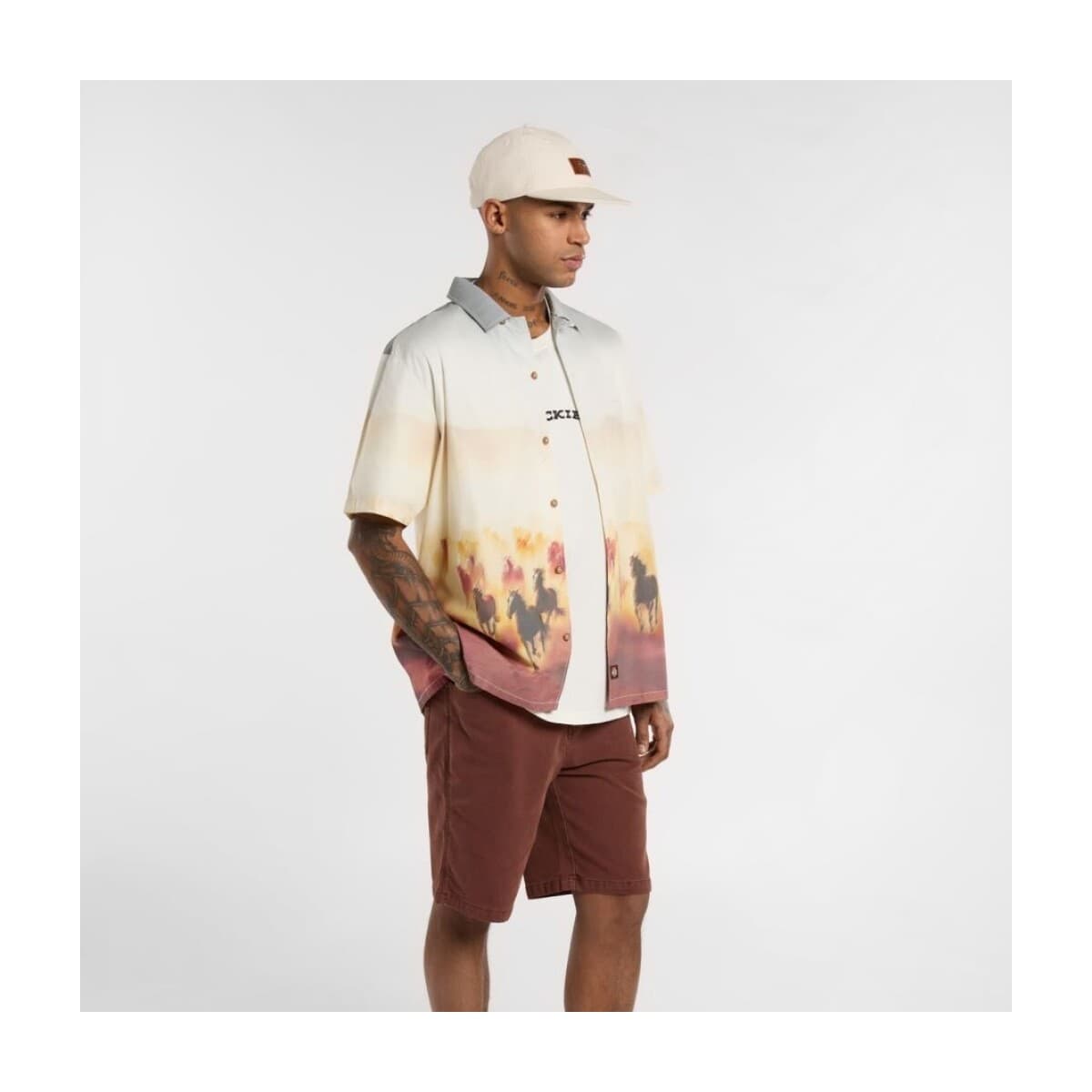 Men's Shirts Dickies Multicolor