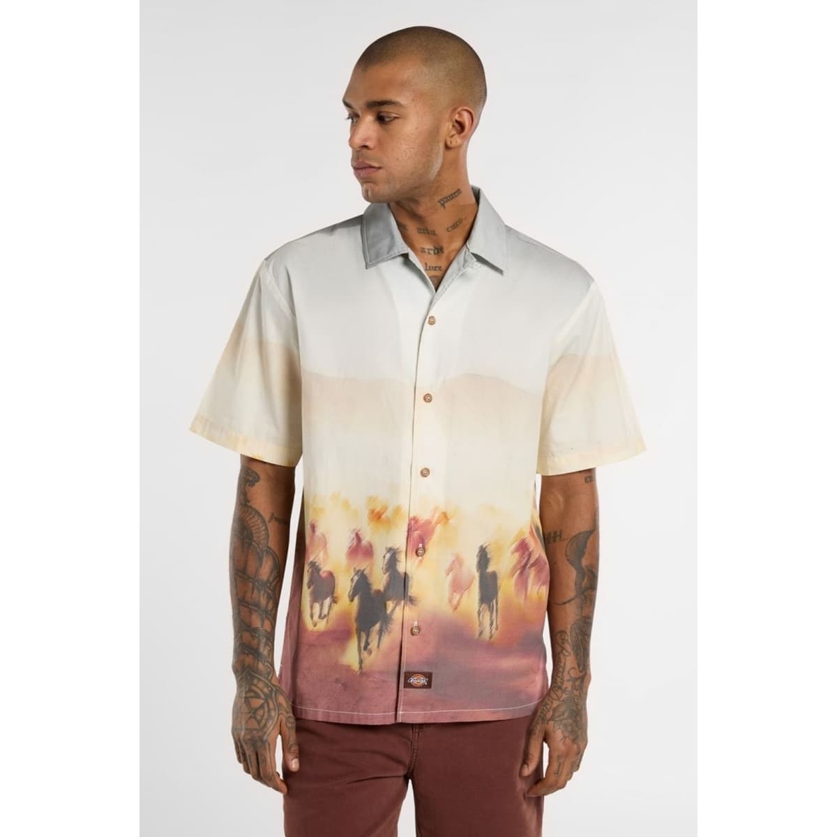 Men's Shirts Dickies Multicolor
