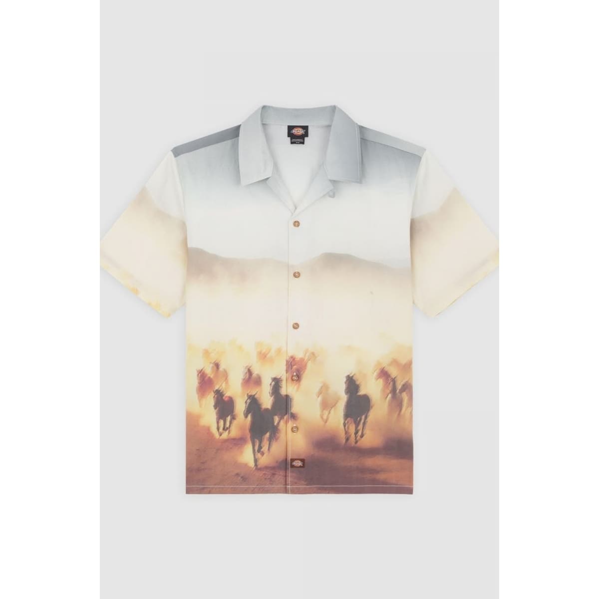 Men's Shirts Dickies Multicolor