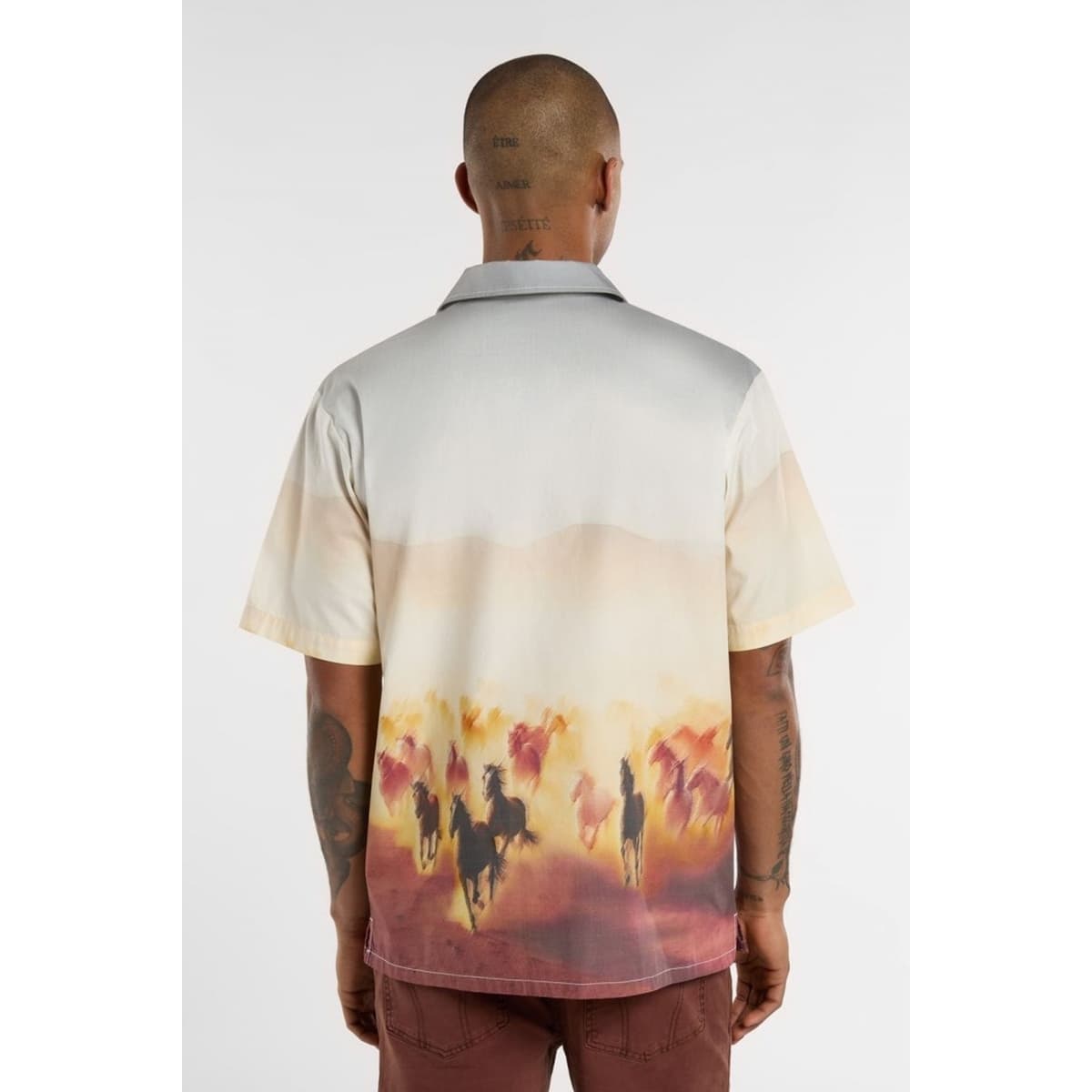 Men's Shirts Dickies Multicolor