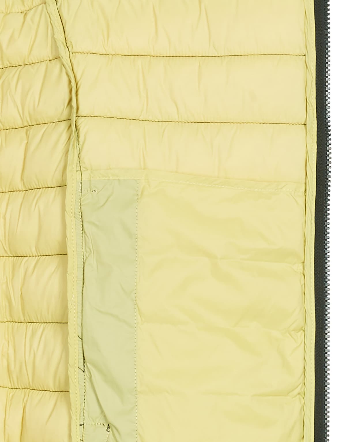 Men's Jackets Teddy Smith Khaki