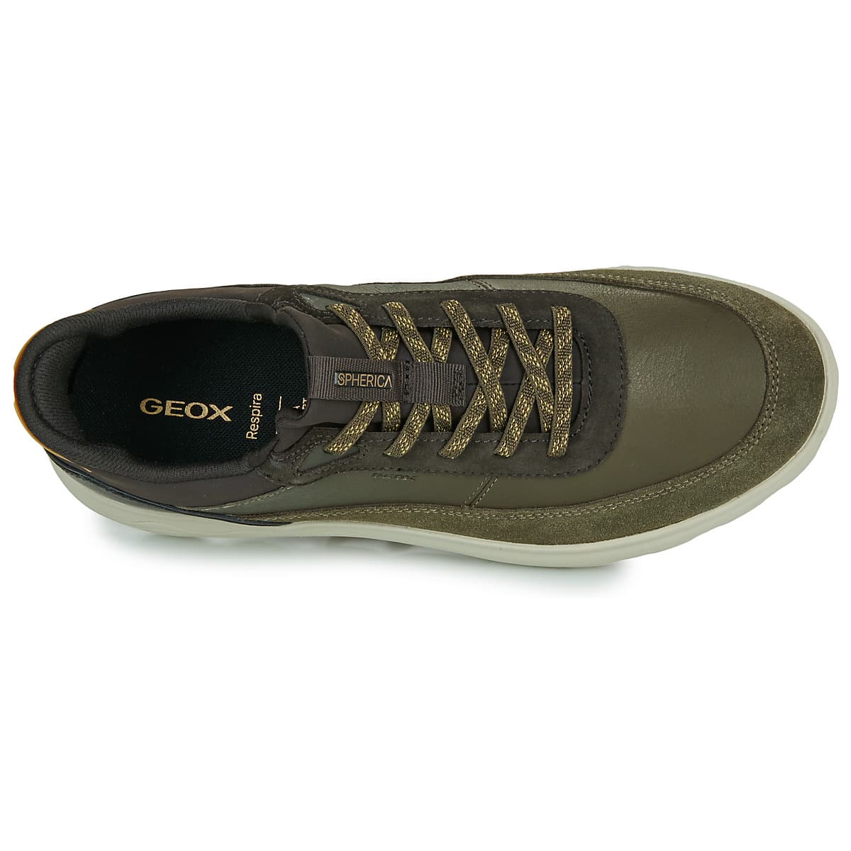 Men's Sneakers Geox Khaki
