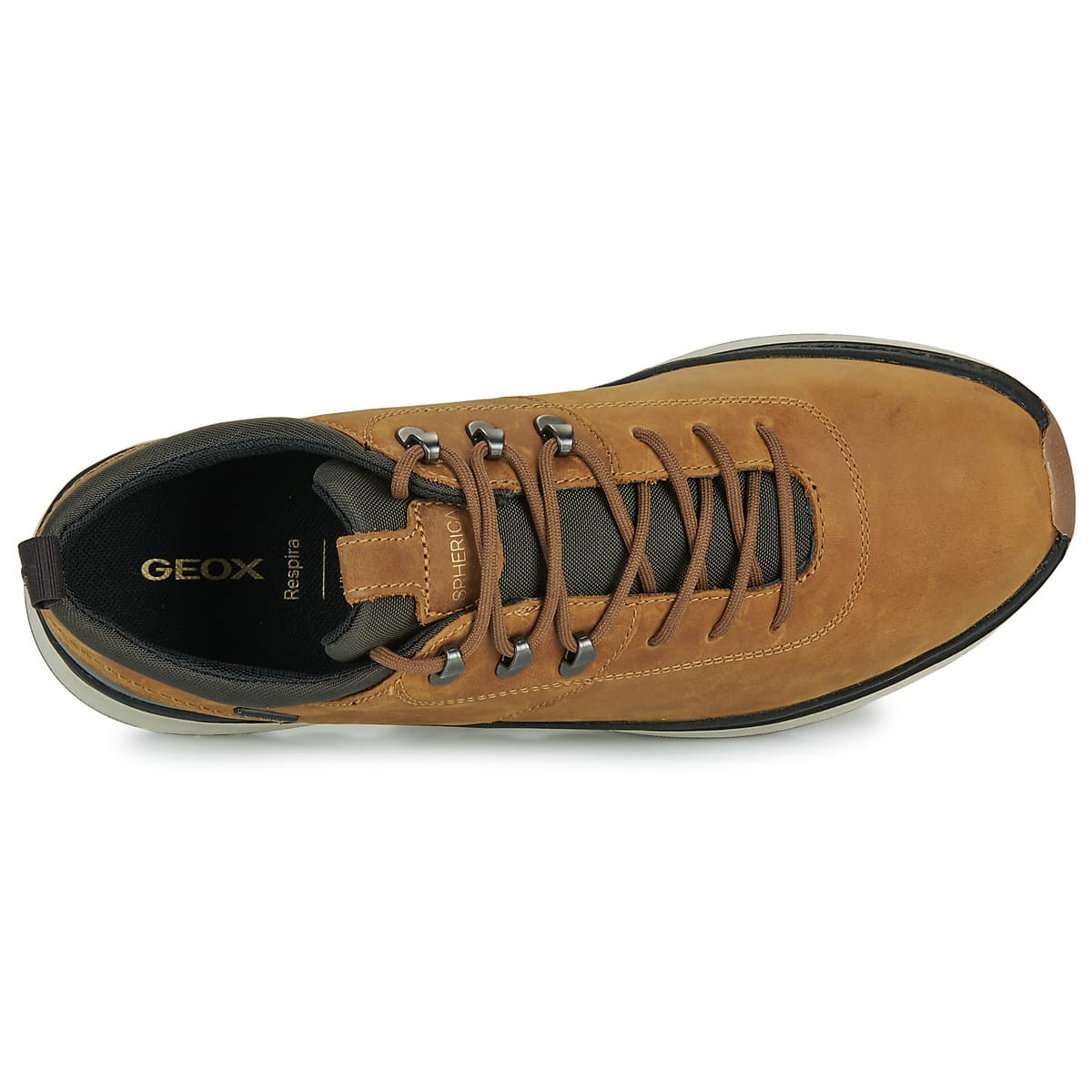 Men's Sneakers Geox Brown