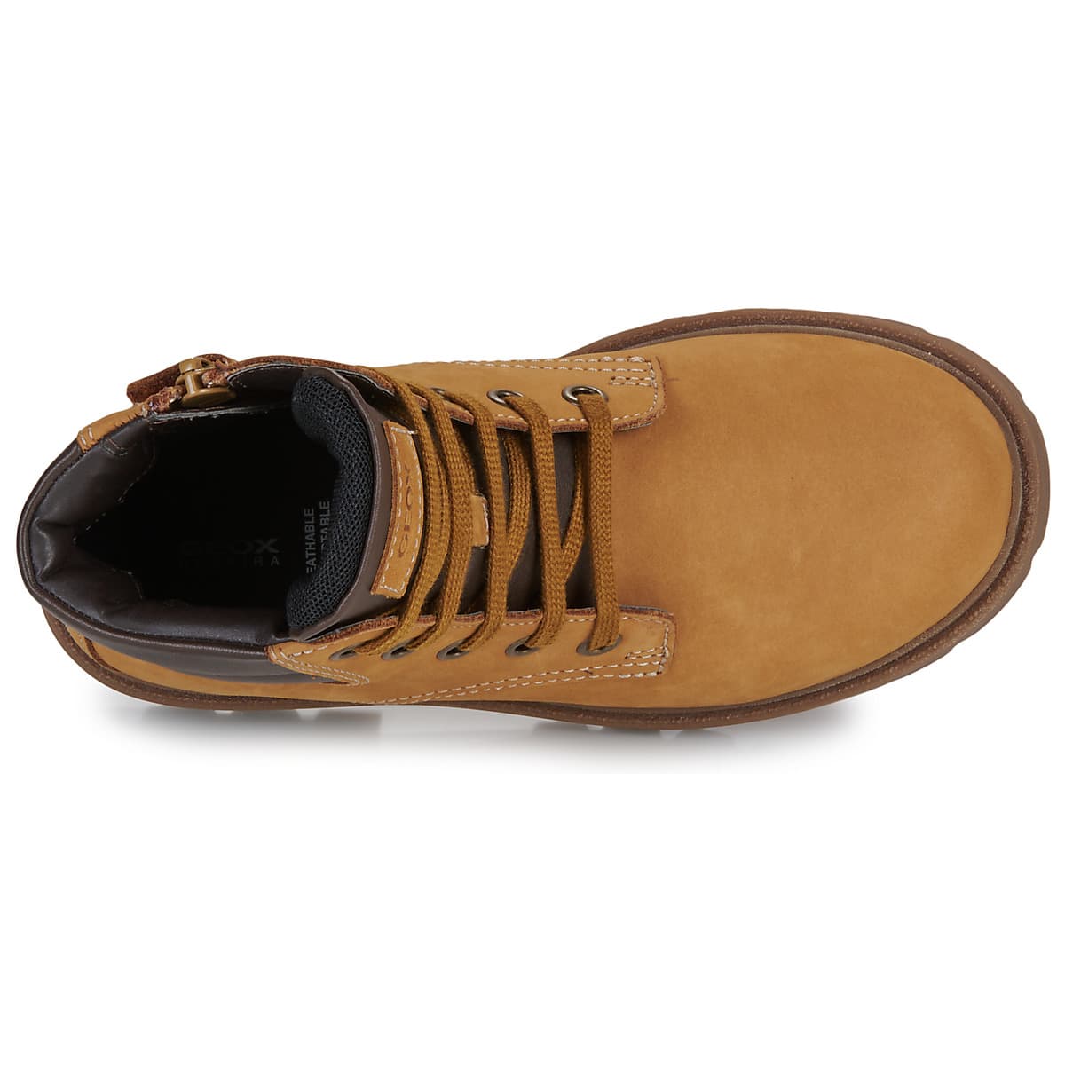 Boys' Boots Geox Brown