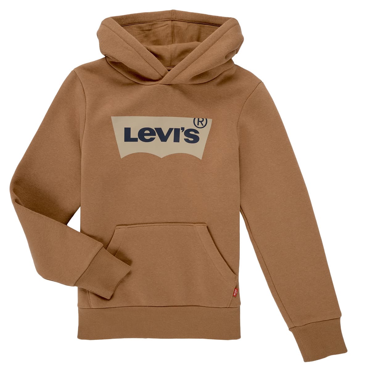 Boys' Hoodies & Sweatshirts Levis Gray