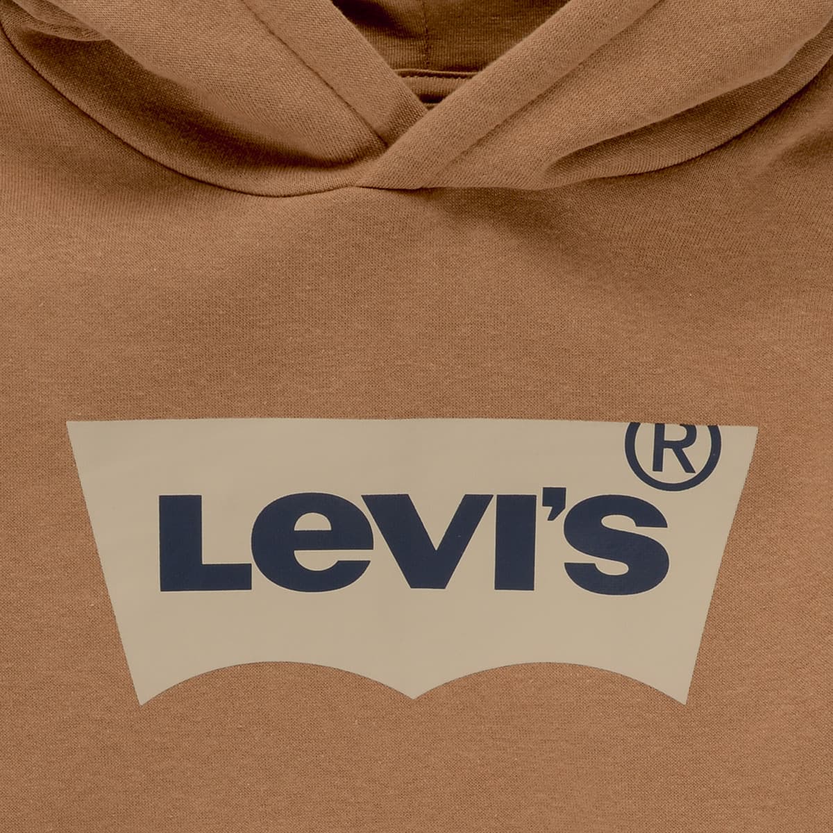 Boys' Hoodies & Sweatshirts Levis Beige