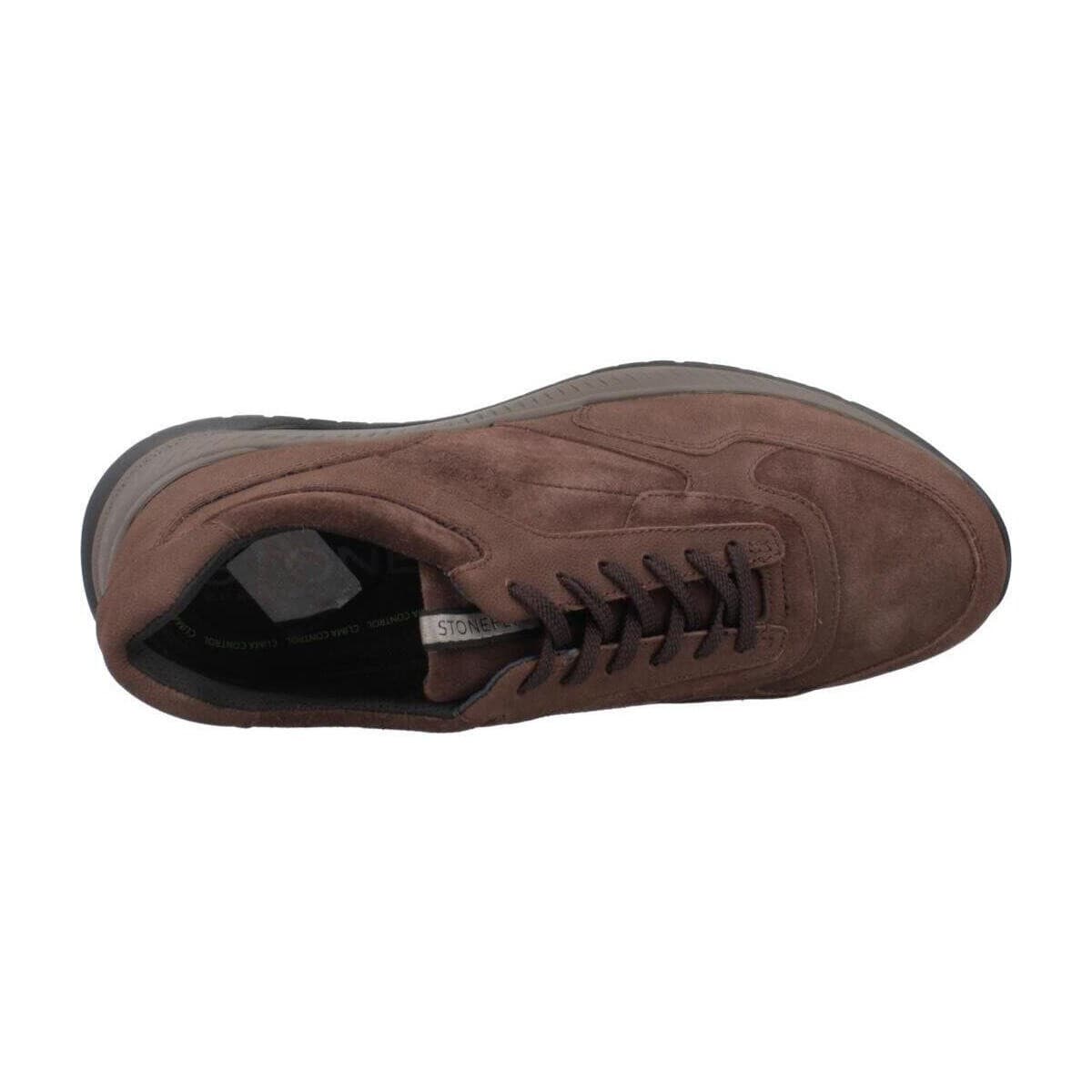 Men's Sneakers Stonefly Brown
