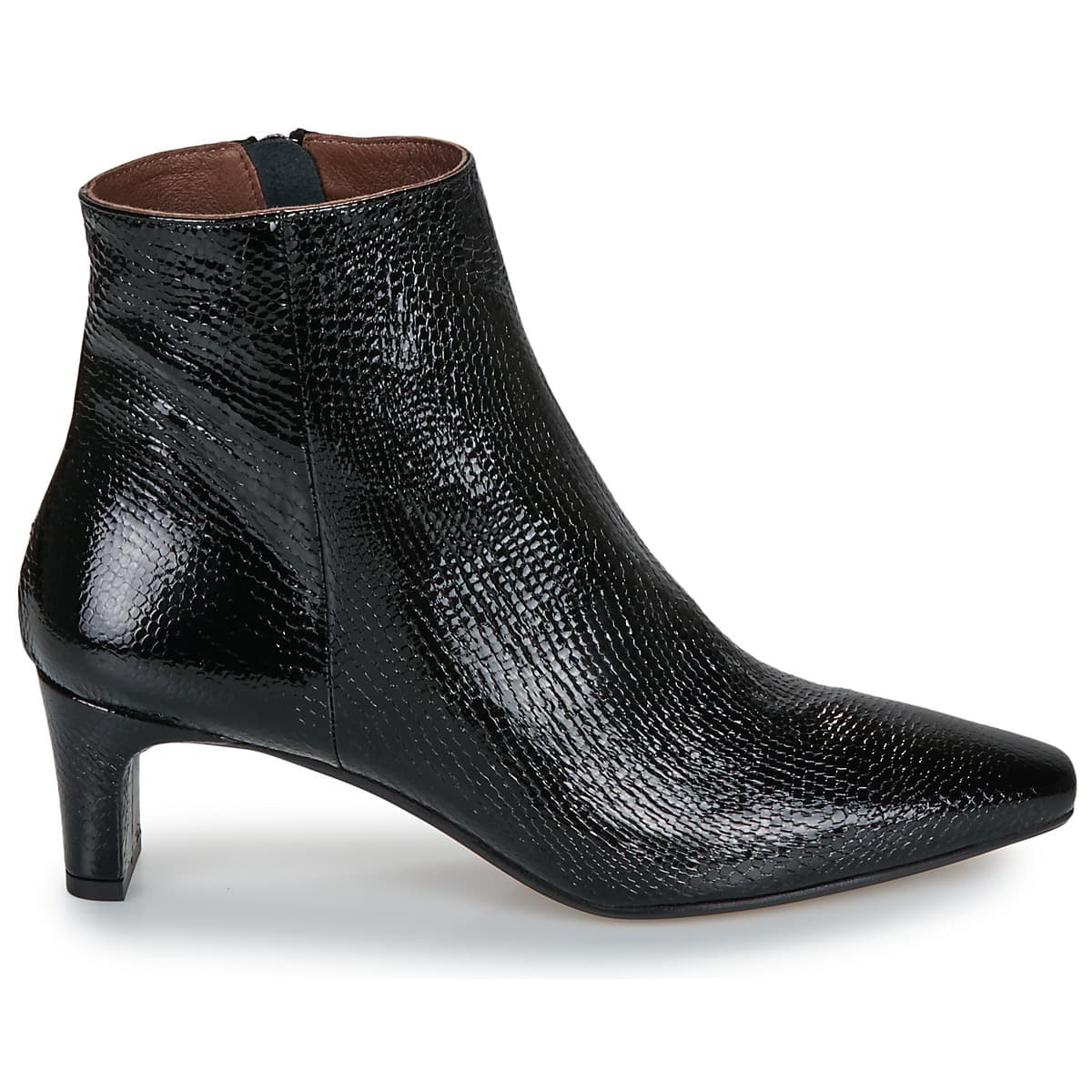 Women's Ankle Boots Otess / Zoï Black