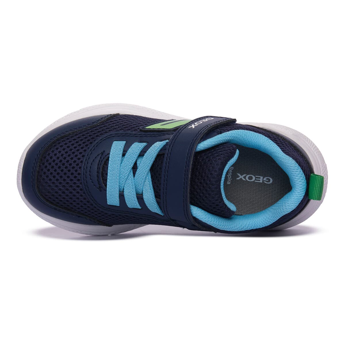 Boys' Sneakers Geox Blue