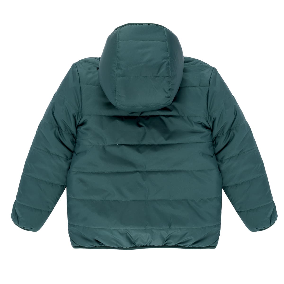 Boys' Jackets Patagonia Green