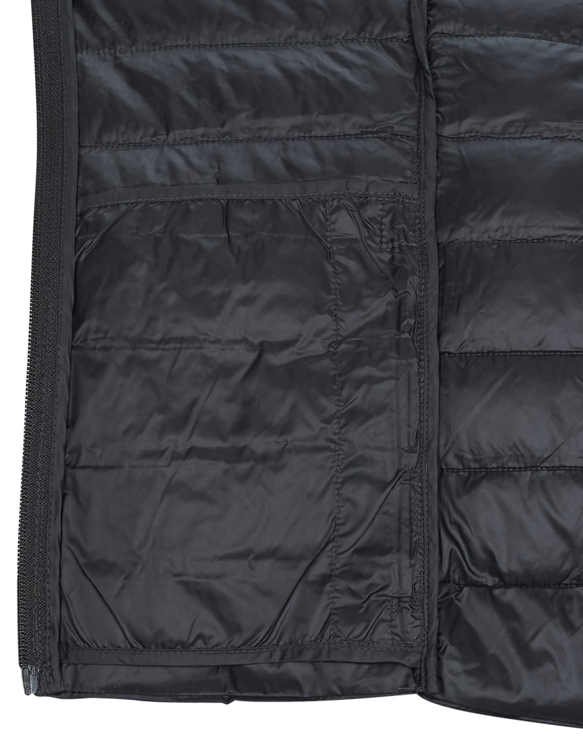 Women's Jackets Only Black