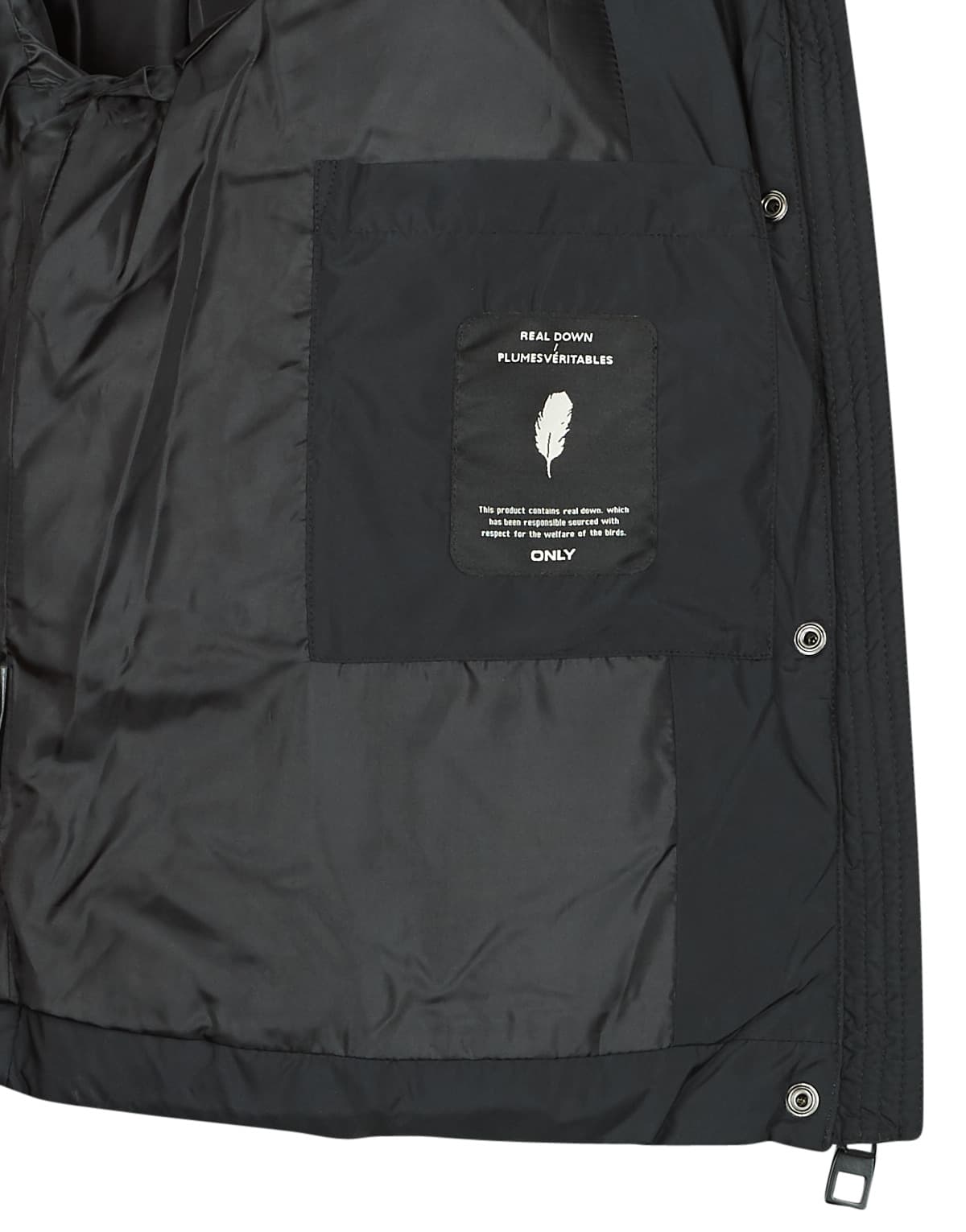 Women's Jackets Only Black