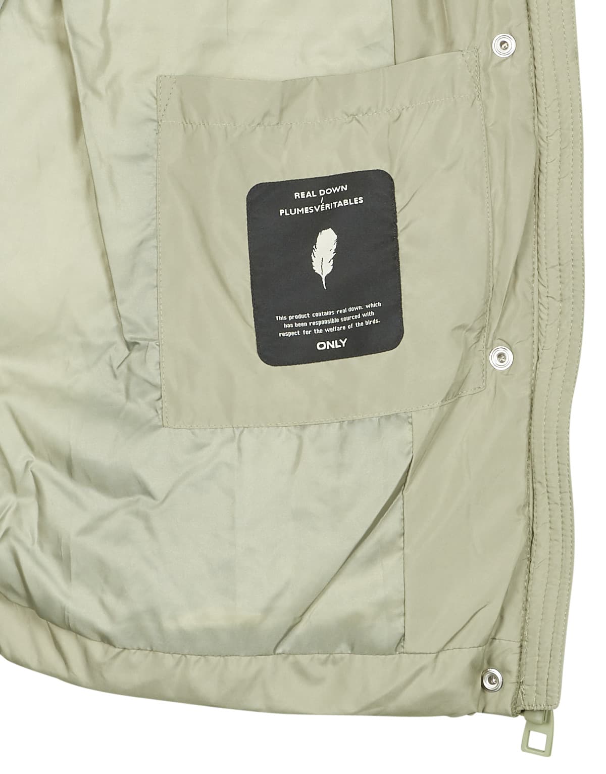 Women's Jackets Only Green