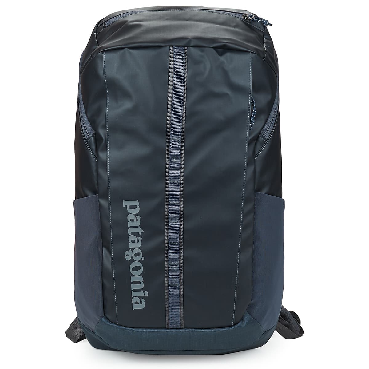 Women's Backpacks Patagonia Gray