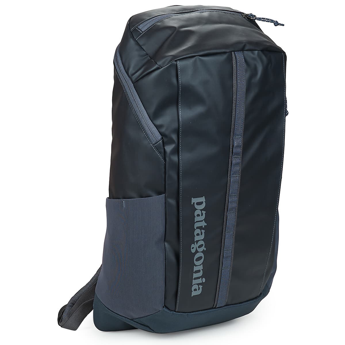 Women's Backpacks Patagonia Gray