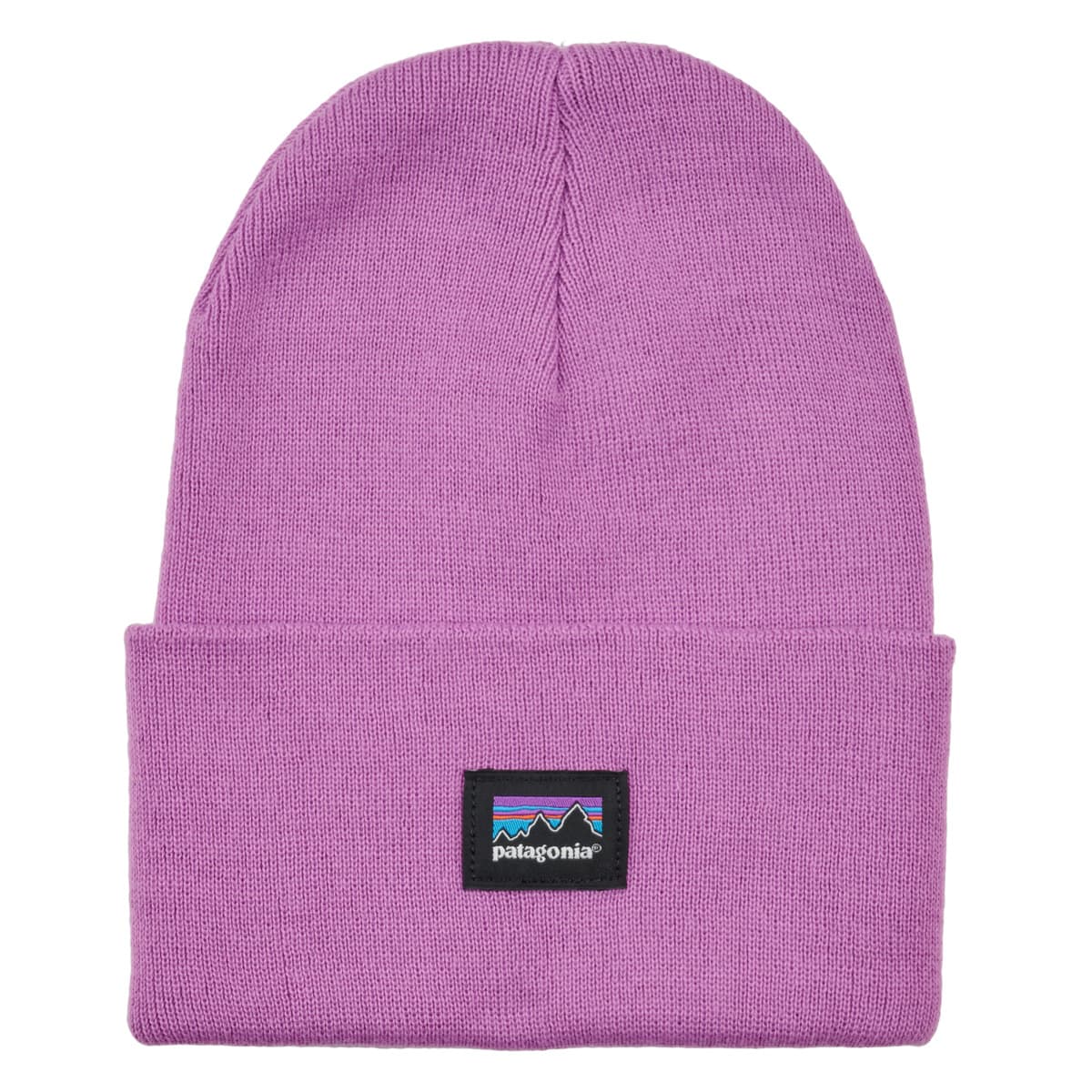 Men's Beanies Patagonia Purple