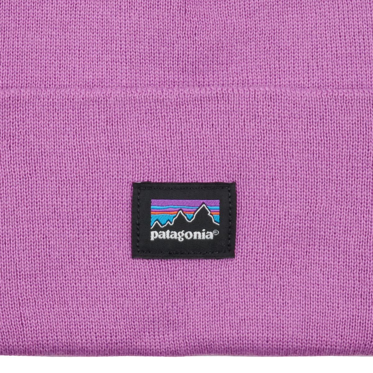 Women's Beanies Patagonia Purple