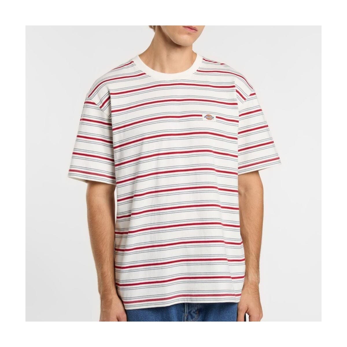 Men's T-Shirts Dickies White