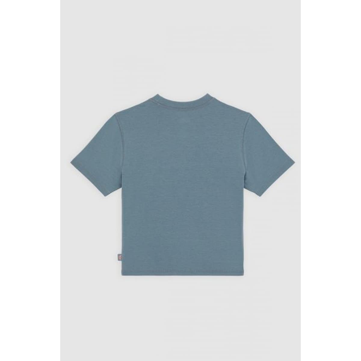 Women's T-Shirts Dickies Blue