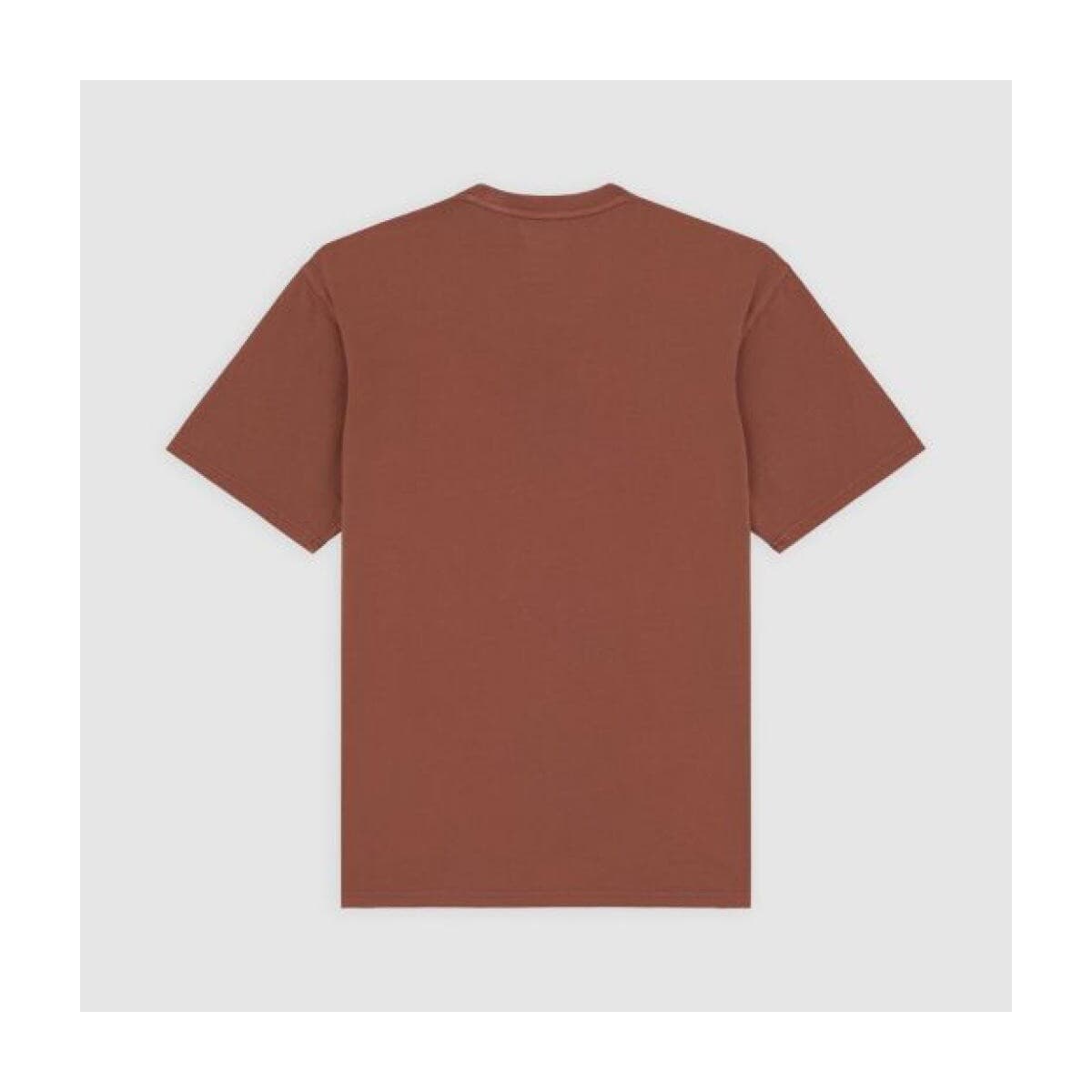 Men's T-Shirts Dickies Brown