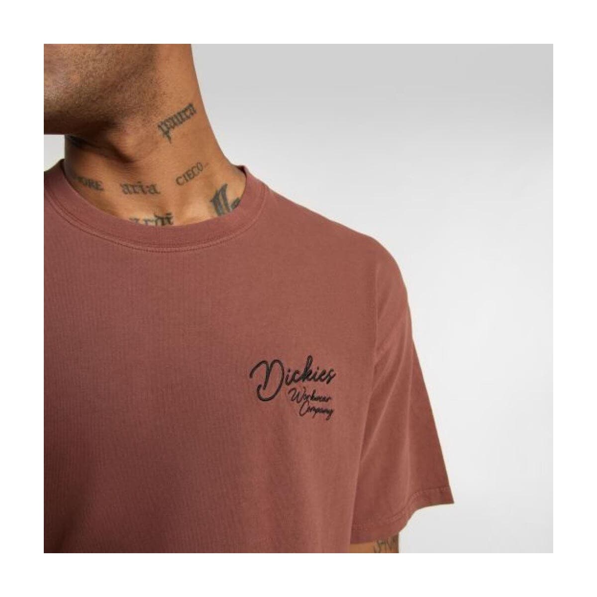 Men's T-Shirts Dickies Brown