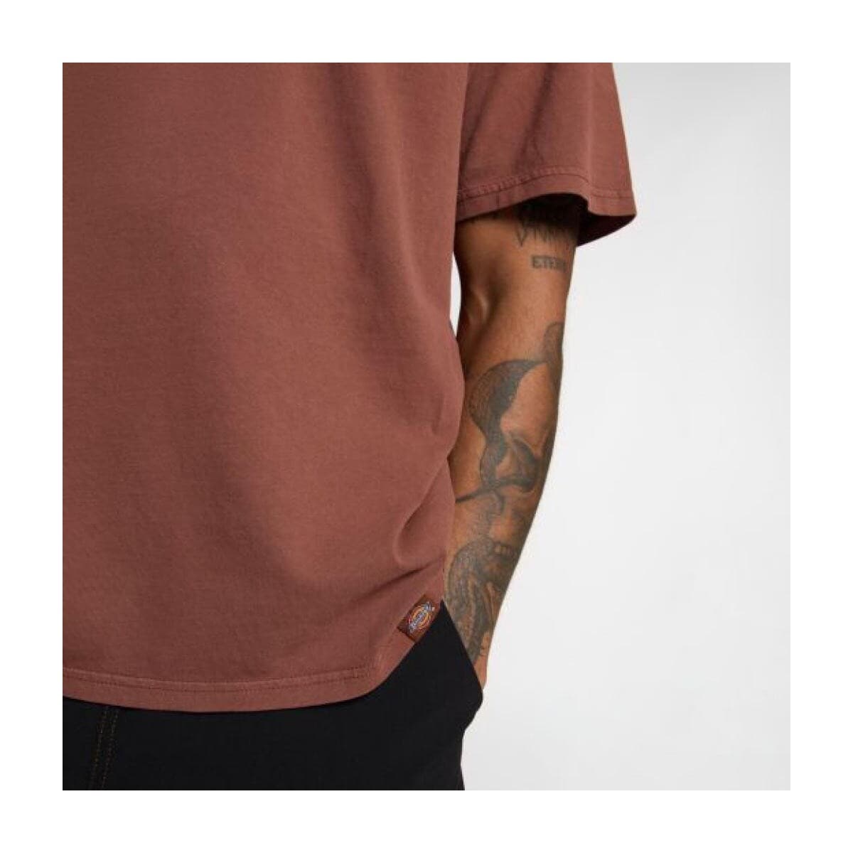 Men's T-Shirts Dickies Brown