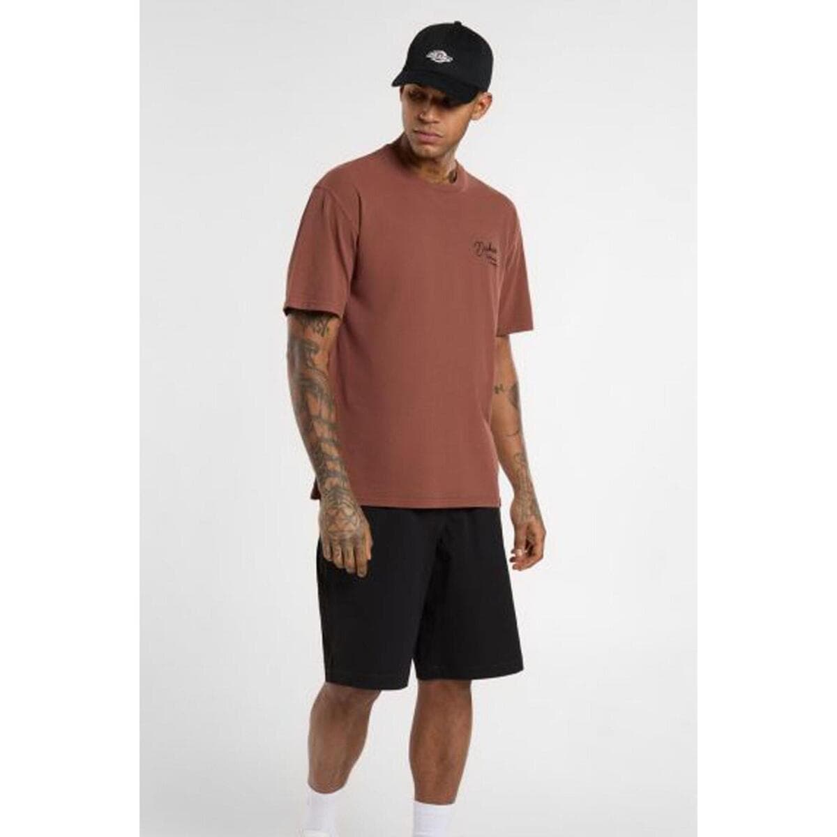 Men's T-Shirts Dickies Brown