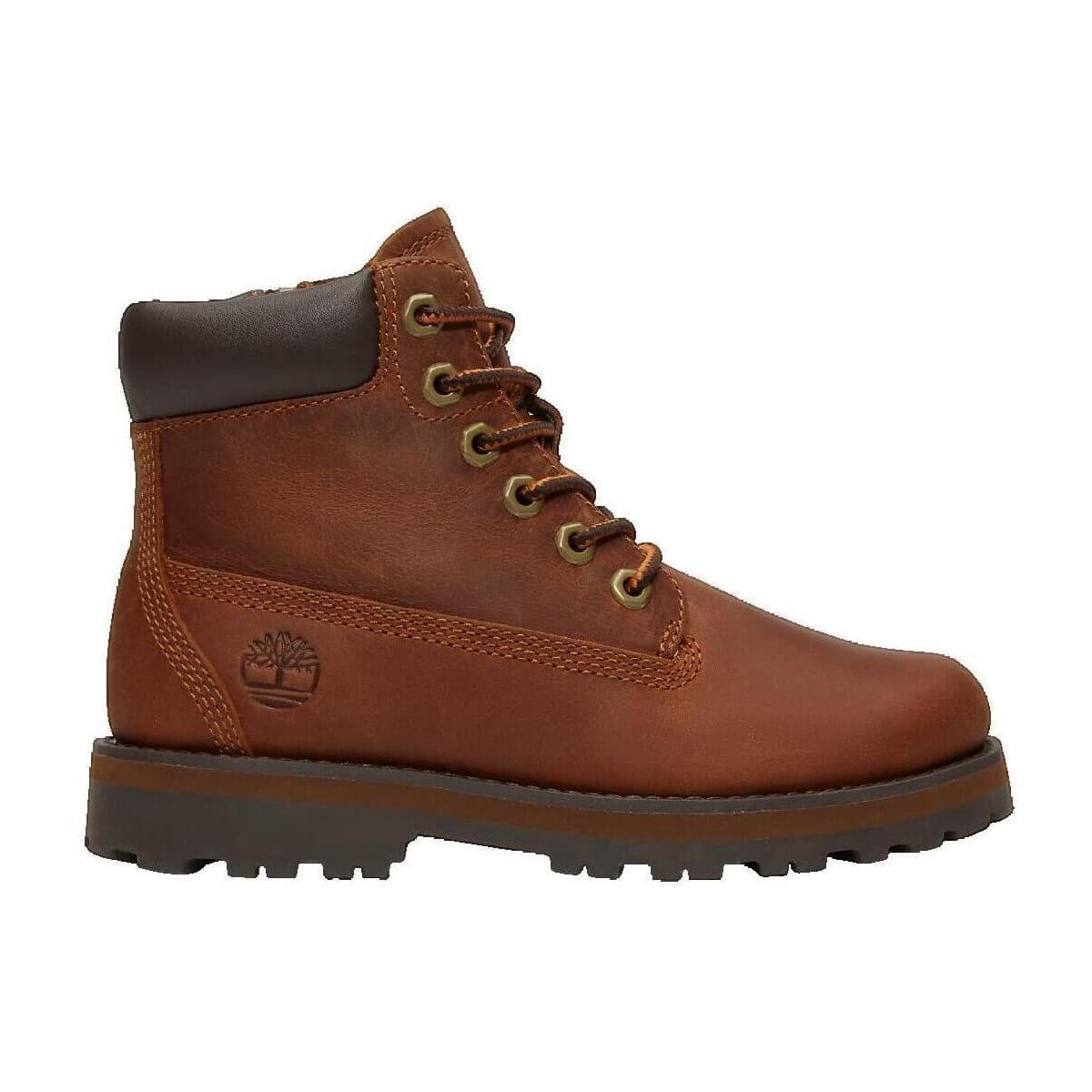 Sneakers Timberland Allington Heights
