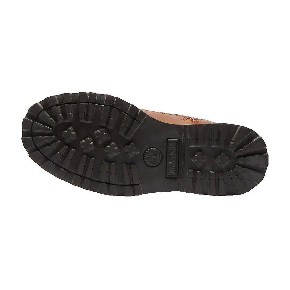 Women's Sneakers Timberland Brown