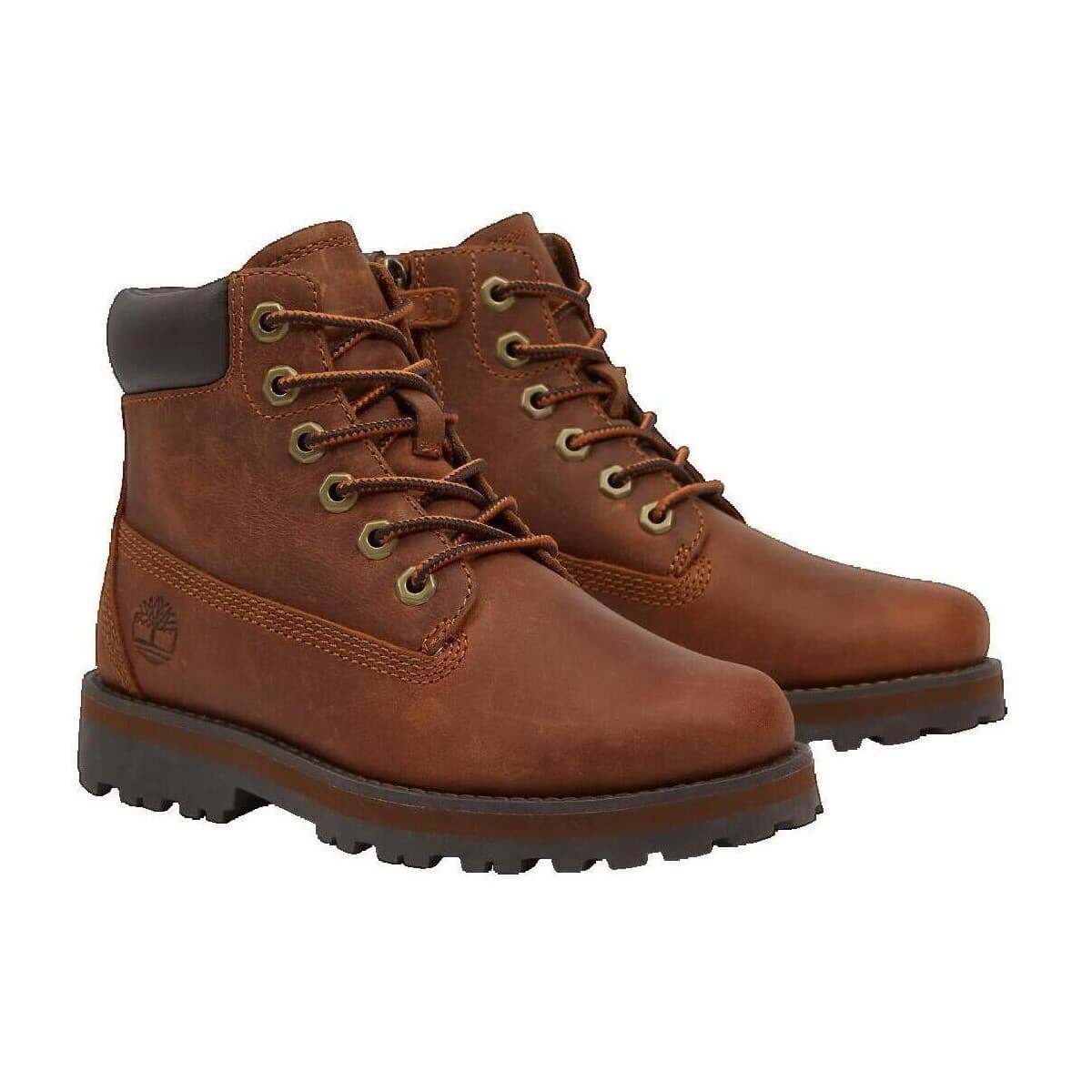 Women's Sneakers Timberland Brown