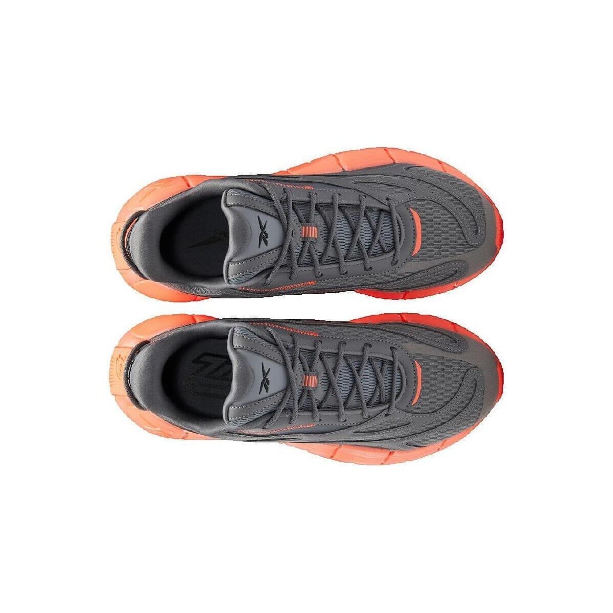 Men's Sports Shoes Reebok Gray