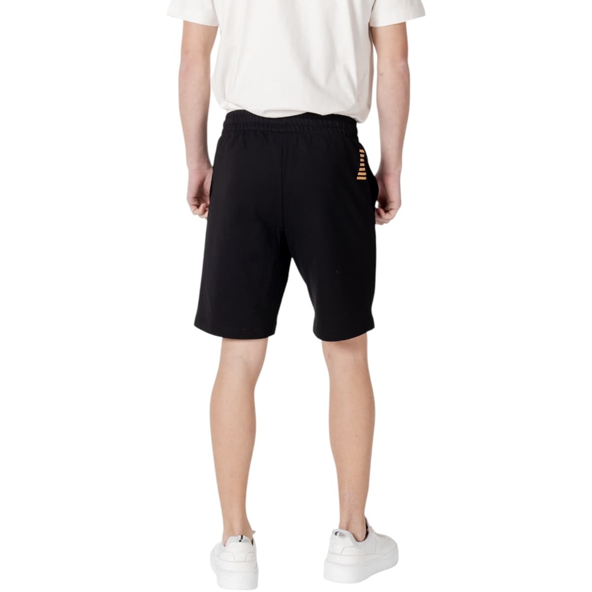 Men's Shorts EA7 Multicolor