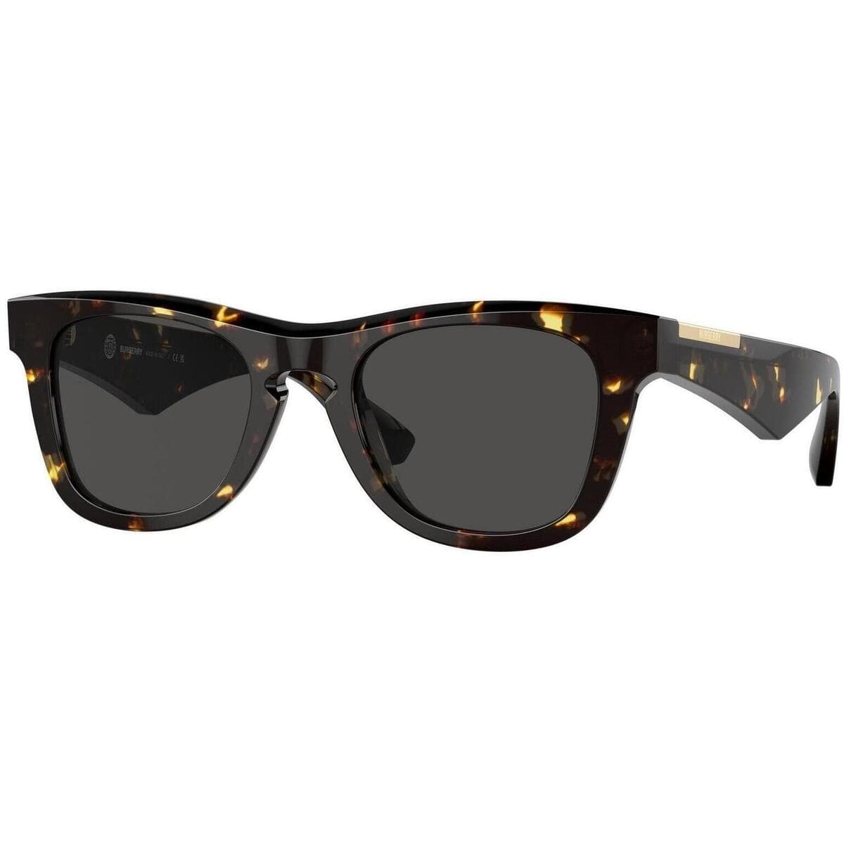 Men's Sunglasses Burberry Brown