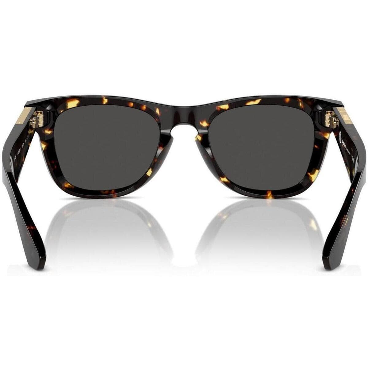 Men's Sunglasses Burberry Brown